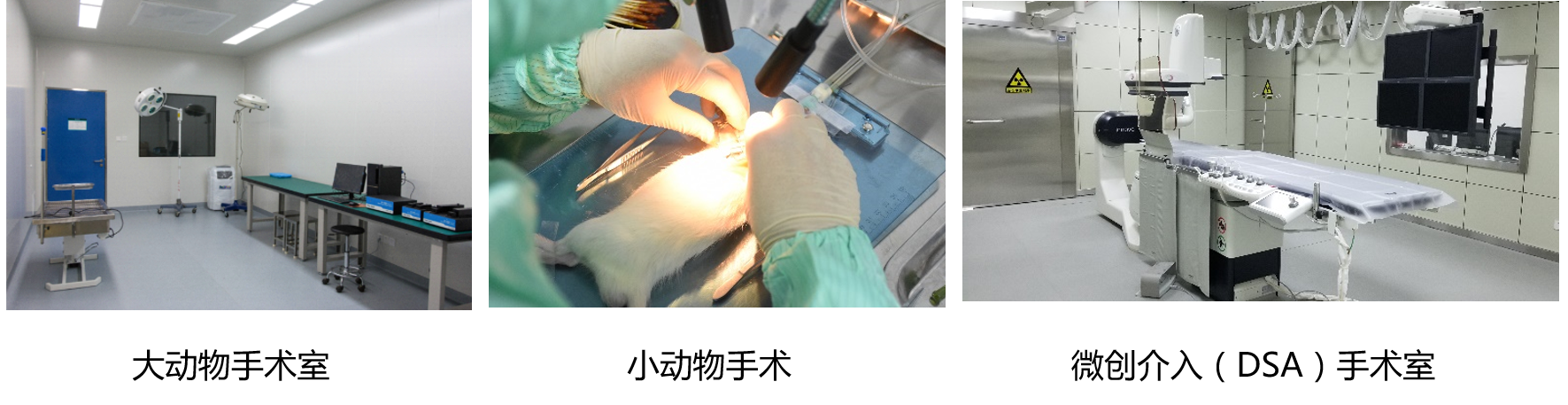 四川赛托勒手术室