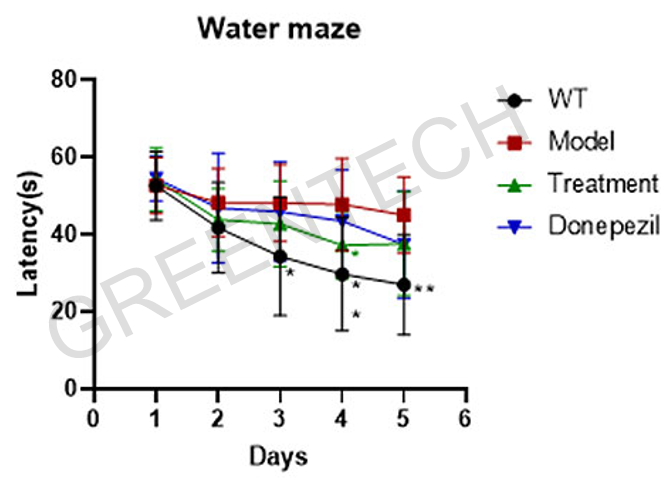 Water maze test.png