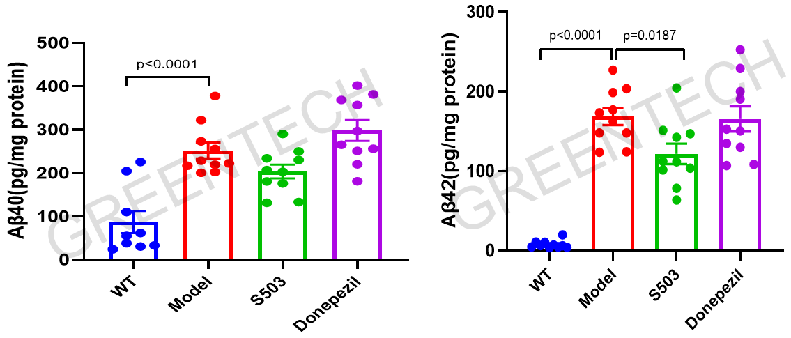 Aβ40 and Aβ42 levels in the cortex of APP/PS1 transgenic mice.png