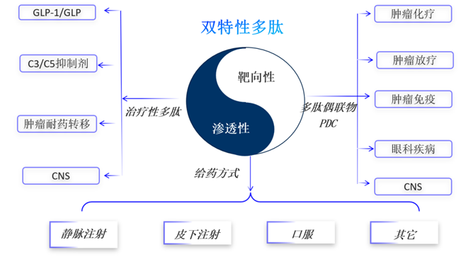 双特性多肽.jpg